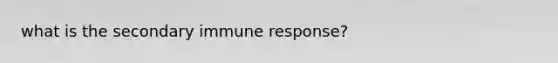 what is the secondary immune response?