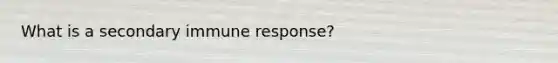 What is a secondary immune response?