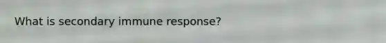 What is secondary immune response?