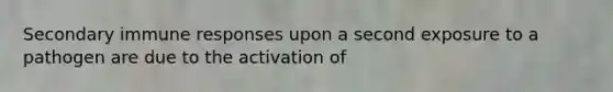 Secondary immune responses upon a second exposure to a pathogen are due to the activation of