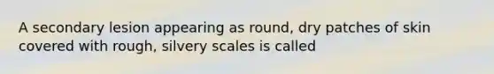 A secondary lesion appearing as round, dry patches of skin covered with rough, silvery scales is called