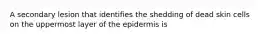 A secondary lesion that identifies the shedding of dead skin cells on the uppermost layer of the epidermis is