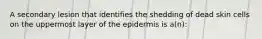 A secondary lesion that identifies the shedding of dead skin cells on the uppermost layer of the epidermis is a(n):