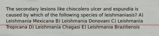 The secondary lesions like chiocolero ulcer and espundia is caused by which of the following species of leishmaniasis? A) Leishmania Mexicana B) Leishmania Donovani C) Leishmania Tropicana D) Leishmania Chagasi E) Leishmania Braziliensis