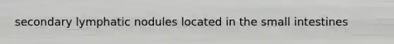secondary lymphatic nodules located in the small intestines