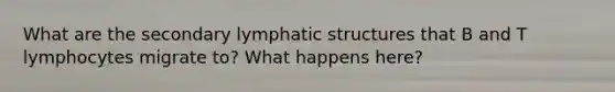 What are the secondary lymphatic structures that B and T lymphocytes migrate to? What happens here?