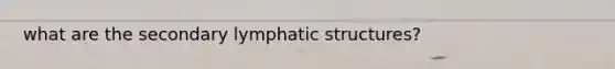 what are the secondary lymphatic structures?