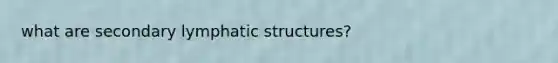 what are secondary lymphatic structures?