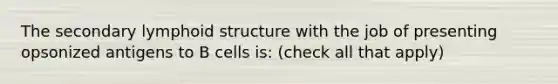 The secondary lymphoid structure with the job of presenting opsonized antigens to B cells is: (check all that apply)