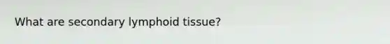 What are secondary lymphoid tissue?