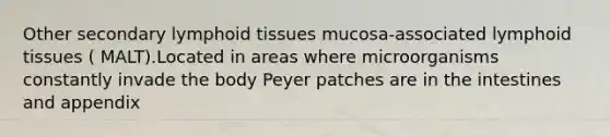 Other secondary lymphoid tissues mucosa-associated lymphoid tissues ( MALT).Located in areas where microorganisms constantly invade the body Peyer patches are in the intestines and appendix