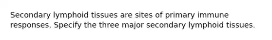 Secondary lymphoid tissues are sites of primary immune responses. Specify the three major secondary lymphoid tissues.