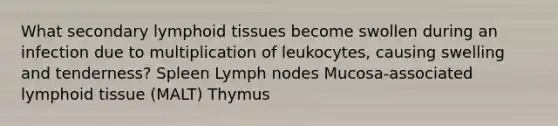 What secondary lymphoid tissues become swollen during an infection due to multiplication of leukocytes, causing swelling and tenderness? Spleen Lymph nodes Mucosa-associated lymphoid tissue (MALT) Thymus