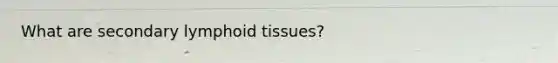 What are secondary lymphoid tissues?