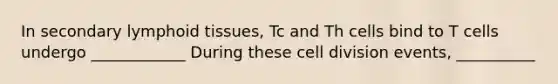 In secondary lymphoid tissues, Tc and Th cells bind to T cells undergo ____________ During these cell division events, __________