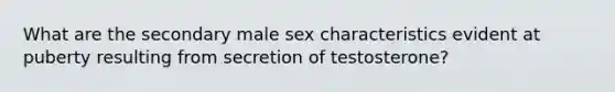 What are the secondary male sex characteristics evident at puberty resulting from secretion of testosterone?