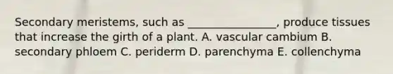 Secondary meristems, such as ________________, produce tissues that increase the girth of a plant. A. vascular cambium B. secondary phloem C. periderm D. parenchyma E. collenchyma