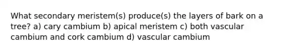 What secondary meristem(s) produce(s) the layers of bark on a tree? a) cary cambium b) apical meristem c) both vascular cambium and cork cambium d) vascular cambium