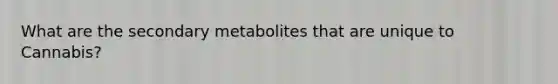 What are the secondary metabolites that are unique to Cannabis?