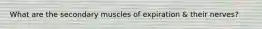 What are the secondary muscles of expiration & their nerves?