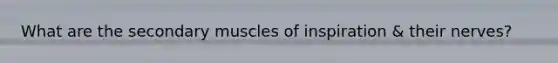 What are the secondary muscles of inspiration & their nerves?