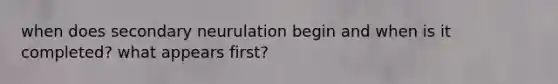 when does secondary neurulation begin and when is it completed? what appears first?