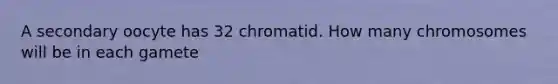 A secondary oocyte has 32 chromatid. How many chromosomes will be in each gamete