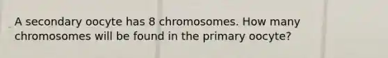 A secondary oocyte has 8 chromosomes. How many chromosomes will be found in the primary oocyte?