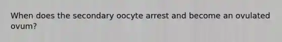 When does the secondary oocyte arrest and become an ovulated ovum?