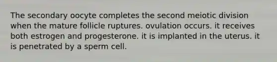 The secondary oocyte completes the second meiotic division when the mature follicle ruptures. ovulation occurs. it receives both estrogen and progesterone. it is implanted in the uterus. it is penetrated by a sperm cell.