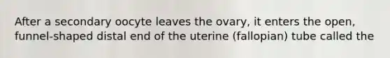 After a secondary oocyte leaves the ovary, it enters the open, funnel-shaped distal end of the uterine (fallopian) tube called the