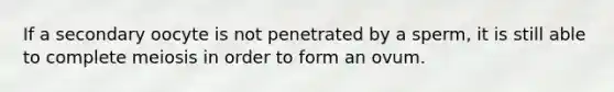 If a secondary oocyte is not penetrated by a sperm, it is still able to complete meiosis in order to form an ovum.