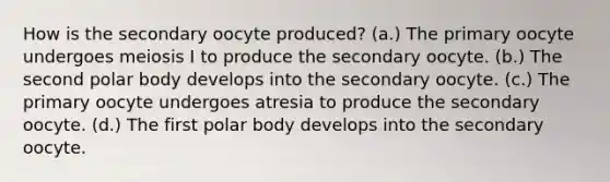 How is the secondary oocyte produced? (a.) The primary oocyte undergoes meiosis I to produce the secondary oocyte. (b.) The second polar body develops into the secondary oocyte. (c.) The primary oocyte undergoes atresia to produce the secondary oocyte. (d.) The first polar body develops into the secondary oocyte.