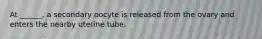 At ______, a secondary oocyte is released from the ovary and enters the nearby uterine tube.