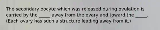 The secondary oocyte which was released during ovulation is carried by the _____ away from the ovary and toward the _____. (Each ovary has such a structure leading away from it.)