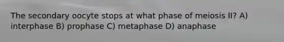 The secondary oocyte stops at what phase of meiosis II? A) interphase B) prophase C) metaphase D) anaphase