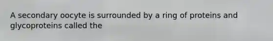 A secondary oocyte is surrounded by a ring of proteins and glycoproteins called the