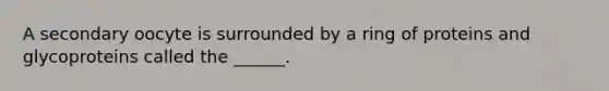 A secondary oocyte is surrounded by a ring of proteins and glycoproteins called the ______.