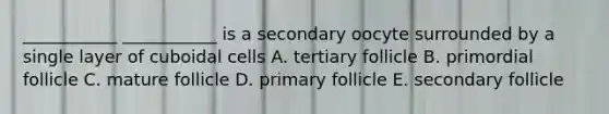 ___________ ___________ is a secondary oocyte surrounded by a single layer of cuboidal cells A. tertiary follicle B. primordial follicle C. mature follicle D. primary follicle E. secondary follicle