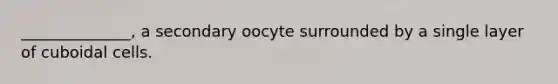 ______________, a secondary oocyte surrounded by a single layer of cuboidal cells.