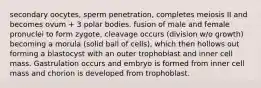 secondary oocytes, sperm penetration, completes meiosis II and becomes ovum + 3 polar bodies. fusion of male and female pronuclei to form zygote, cleavage occurs (division w/o growth) becoming a morula (solid ball of cells), which then hollows out forming a blastocyst with an outer trophoblast and inner cell mass. Gastrulation occurs and embryo is formed from inner cell mass and chorion is developed from trophoblast.