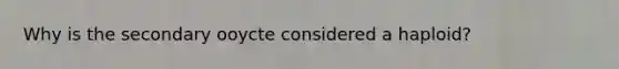 Why is the secondary ooycte considered a haploid?