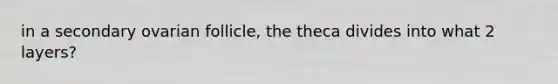 in a secondary ovarian follicle, the theca divides into what 2 layers?