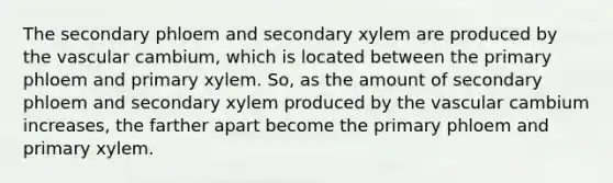 The secondary phloem and secondary xylem are produced by the vascular cambium, which is located between the primary phloem and primary xylem. So, as the amount of secondary phloem and secondary xylem produced by the vascular cambium increases, the farther apart become the primary phloem and primary xylem.