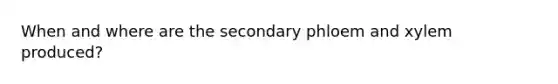 When and where are the secondary phloem and xylem produced?