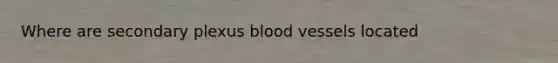 Where are secondary plexus blood vessels located