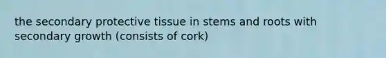 the secondary protective tissue in stems and roots with secondary growth (consists of cork)