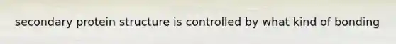 secondary protein structure is controlled by what kind of bonding
