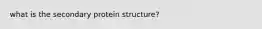 what is the secondary protein structure?