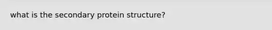 what is the secondary protein structure?